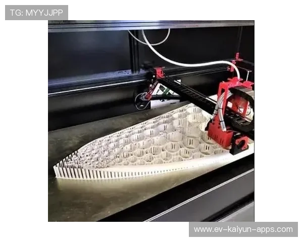 冲浪团队与环保基金会合作研发可回收冲浪板