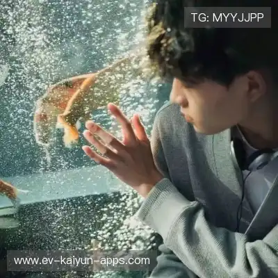 奚双伦